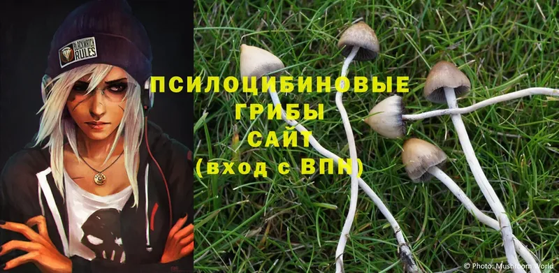 гидра сайт  Заозёрск  Псилоцибиновые грибы MAGIC MUSHROOMS 